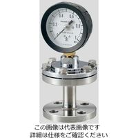 木幡計器製作所 ダイヤフラム式圧力計（フランジタイプ） 75×0.4SUS 1台 2-276-04（直送品）