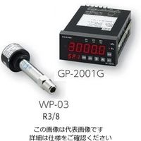 アルバック ピラニ真空計 GPー2001G+測定子WPー03 GP-2001G/WP-03 1式 2-157-03（直送品）