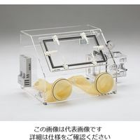 アズワン オートドライグローブボックス AD1000 1台 2-663-03（直送品）