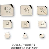 大正天びん製作所 板状分銅 M1PSBー500MA 500mg 2-493-01 1個（直送品）
