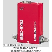 堀場製作所 マスフローコントローラ (ガスー継手:H2ーSW・流量:100CCM) SEC-E40MK3-100CCM 1台（直送品）