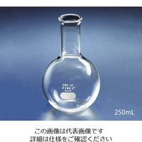 コーニングインターナショナル 平底フラスコ 125mL 4060-125 1個 2-9429-02（直送品）