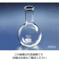 コーニングインターナショナル 平底フラスコ 1000mL 4060-1L 1個 2-9429-05（直送品）
