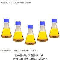 サーモフィッシャーサイエンティフィック 滅菌三角フラスコ(ベントフィルターキャップ/平底) 250mL 4115-0250 1箱(12個)（直送品）