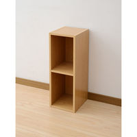 YAMAZEN　A4カラーボックス2段　幅250×奥行290×高さ735mm　ライトブラウン　（直送品）