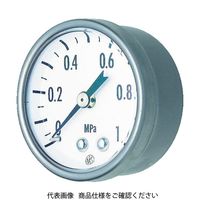 長野計器 長野 小型圧力計 圧力レンジ（MPa）:0～0.1 GK25-271-0.1MP 1個 158-1007（直送品）