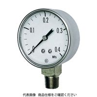 長野計器 長野 小形圧力計 GK20-271-0.2MP 1個 169-3913（直送品）