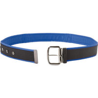 コヅチ カラーソフトベルトワンピン48ブルー PNB-048BU 1本 446-1088（直送品）