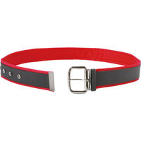 コヅチ カラーソフトベルトワンピン48レッド PNB-048R 1本 446-1096（直送品）