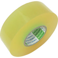 日東電工BM 脱鉛タイプビニールテープNo.21 0.2mm×19mm×20m 透明 10巻入り 21-20TM 1パック(10巻)（直送品）