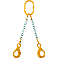 象印 チェーンスリング100(アイタイプ)荷重1.7t線径6.3mm L1.5m(2ーMFFーSHEー6.3) 2-MFF-SHE-6.3 1台（直送品）