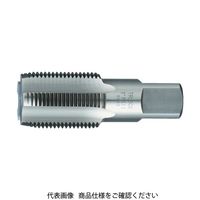 トラスコ中山 TRUSCO 管用タップ SKS・PS3/8 T-KN-PS3/8 1本 480-6760（直送品）