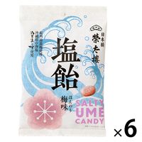 松屋総本店 家傳せき止飴 60g x10 4978967011604 1セット(10個