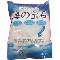 「業務用」 天恵ジャパン 海藻麺クリスタルＳＳ 220763 1ケース　1kg×12PC　常温（直送品）
