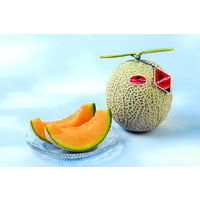 富良野ナチュラルファーム 【お中元ギフト・熨斗付き】富良野ナチュラルファーム 富良野太陽の女神メロン 798139 1セット（直送品）