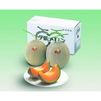 鹿内青果 【お中元ギフト・熨斗付き】鹿内青果 夕張メロン 2玉 20021 799215 1セット（直送品）