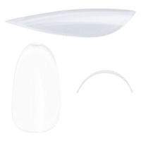 ＳＨＡＲＥＹＤＶＡサンプル用チップＮ クリア （ラウンド） ＃６ ５０Ｐ 113717 1個（直送品）