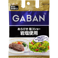 【アウトレット】GABAN ギャバン あらびき塩コショー 岩塩使用＜袋入り＞60g 1セット（2個入） ハウス食品