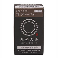 桂屋ファイングッズ コールダイホットECO みや古染 グレージュ 20g 1本入 KAT10535 ECOH-75 6個セット（直送品）