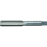 gXRR TRUSCO nh^bv  M33X3.5[2 SKS  T-HT33X3.5-2 1{ 256-2395iij