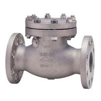 東洋バルヴ ステンレス チャッキ(K20ーUMNSFーVA) K20-UMNSF-VA 150A 1個（直送品）