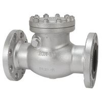 東洋バルヴ ダクタイル チャッキ(20ーDNSFーN) 20-DNSF-N 200A 1個（直送品）