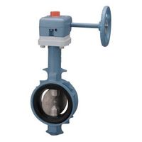 東洋バルヴ バタフライ ダクタイル(10L2ーNーUEL) 10L2-N-UEL 50A 1個（直送品）