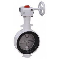 東洋バルヴ バタフライ ナイロン(10L2ーNーUーCN) 10L2-N-U-CN 200A 1個（直送品）