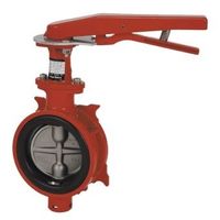 東洋バルヴ 消防認定品 アルミバタ((F)10ALMーNーLUE) (F)10ALM-N-LUE 125A 1個（直送品）