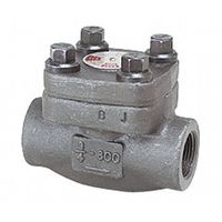 東洋バルヴ 鍛鋼 チャッキ(S800ーSFーNーDS) S800-SF-N-DS 15A 1個（直送品）