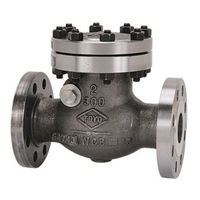 東洋バルヴ 鋳鋼 チャッキ(300ーSNSF) 300-SNSF 100A 1個（直送品）