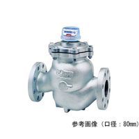 アズビル金門 エコ温水メーター タテ型ウォルトマン型(10KF接続) 合フランジ付 NBHT-F-80A 1個 64-4015-81（直送品）