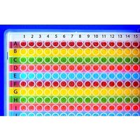 Diversified Biotech 384ウェル カラーオリエンター 横型 WELL-384H 1個(2枚) 64-5287-03（直送品）