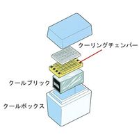 Diversified Biotech ザクールセーフシステム CSAF