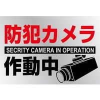 日本緑十字社 イラストステッカー標識 防犯カメラ作動中 PET