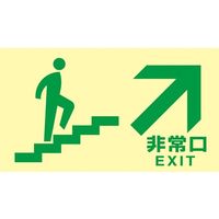 日本緑十字社 高輝度蓄光避難誘導標識 非常口（階段右下） TKN109 130