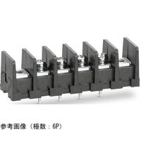 ネジ式端子台 端子間ピッチ7.62mm 底面絶縁物無し PC端子 取付孔有り セムスネジ 20P ML-40-S1BXS-20P 1個（直送品）