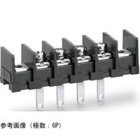 ネジ式端子台 端子間ピッチ10.16mm 底面絶縁物無し はんだ付け端子 取付孔有り 角座金付ネジ 17P ML-50-S1AXF-17P（直送品）