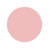 SHAREYDVA Ｎｏａ ｇｅｌ（ノアジェル） Ｂａｓｅ＆Ｃｏｌｏｒ 2 ４ｇ 1個（直送品）