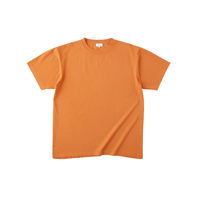 TRUSS フードテキスタイルTシャツ　サイズL　6.2oz　ルイボス　1着（直送品）