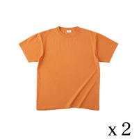 TRUSS フードテキスタイルTシャツ　サイズL　6.2oz　ルイボス　1セット（2着入）（直送品）