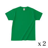 TRUSS フルーツベーシックTシャツ サイズS 4.8oz