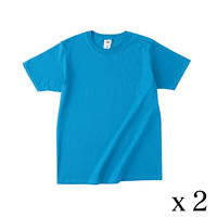 TRUSS フルーツベーシックTシャツ　サイズL　4.8oz　パシフィックブルー　1セット（2着入）（直送品）