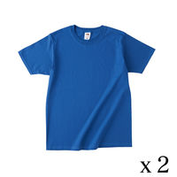 TRUSS フルーツベーシックTシャツ　サイズL　4.8oz　ロイヤル　1セット（2着入）（直送品）