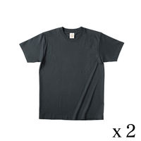 TRUSS オーガニックコットンTシャツ　サイズM　5.3oz　スミクロ　1セット（2着入）（直送品）