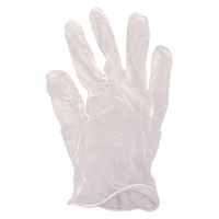 パックスタイル PSプラスチック手袋(PVC手袋・介護用) 粉無 L　3000枚(100×30) 00685342（直送品）