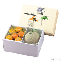 ヤマニパッケージ L-329A AF美果撰集 ロイヤル深口A 40枚(10×4) 619198 1ケース(40枚入(10枚×4袋))（直送品）