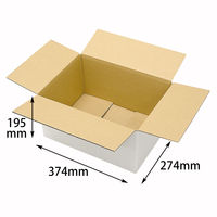 ヤマニパッケージ A式10kg白 30枚 EE-116 1ケース(30枚入)（直送品）