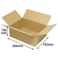 ヤマニパッケージ カル段A式段ボール3 100枚(10×10) EE-324 1ケース(100枚入(10枚×10袋))（直送品）