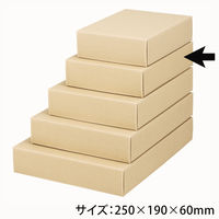 ヤマニパッケージ ナチュラル60小 100枚 16-61 1ケース(100枚入)（直送品）